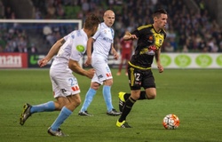 Trực tiếp Brisbane Roar vs Wellington: Chống trả quyết liệt