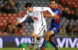 Nhận định bóng đá Wellington Phoenix vs Newcastle Jets FC 13h15, 24/01 (Giải VĐQG Úc)