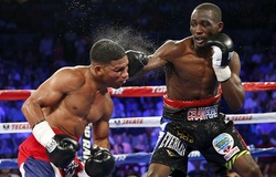 Ông bầu Bob Arum “gạ” Conor McGregor đánh Boxing và MMA với Terence Crawford