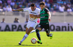 Nhận định Santos Laguna vs Pumas UNAM 10h00, ngày 02/02 (VĐQG Mexico)