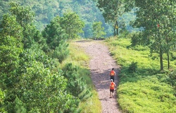 Dịch cúm virus Corona khiến nhiều giải chạy, sự kiện thể thao tại Việt Nam có khả năng “vỡ trận”