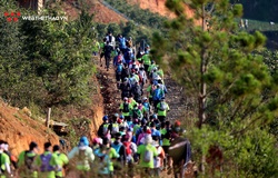 Giải chạy siêu địa hình lớn nhất trên cao nguyên Đà Lạt bị hoãn vì virus Corona
