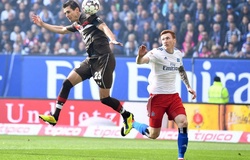 Nhận định Hannover 96 vs Hamburger SV 19h00, 15/02 (Giải hạng 2 Đức)