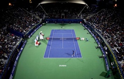 Lịch phát sóng trực tiếp các chương trình thể thao trên VTVCab ngày 24/2