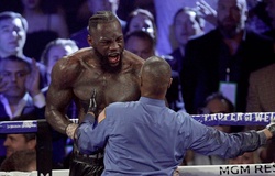 Deontay Wilder sa thải HLV quăng khăn trắng trong đội ngũ