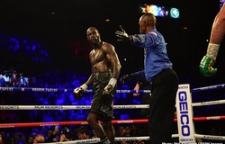 Wilder vs Fury 2: Bởi cuộc đời là lựa chọn và tiếc nuối