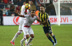 Soi kèo Antalyaspor vs Fenerbahce 00h00, ngày 01/03 (VĐQG Thổ Nhĩ Kỳ)
