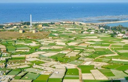 Giải chạy lớn nhất nước Pháp lùi ngày tổ chức vì virus corona, runner Việt lo cho Tiền Phong Marathon