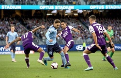 Nhận định Sydney FC vs Perth Glory, 13h00 ngày 14/3, VĐQG Úc