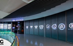 VCS Mùa Xuân 2020 sẽ bị hoãn lại vì dịch COVID-19?