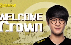 Crown chính thức có bến đỗ mới: OZ Gaming