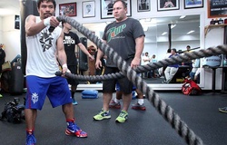 Những bài tập để cải thiện sức bền tim phổi (cardio) trong võ thuật (Phần 1)