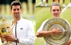 Giữa đại dịch COVID-19: Giải tennis Wimbledon lần đầu tiên phải hủy không do chiến tranh!