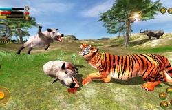 Tiger Simulator 3D: Cách tải game trên APK cho Android