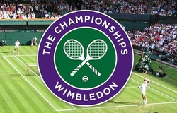 BTC Wimbledon bỏ túi hơn 3.300 tỷ đồng mùa COVID-19 nhờ tầm nhìn quá xa!
