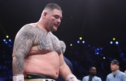 Người hâm mộ dập tơi tả ý tưởng tái đấu của Andy Ruiz