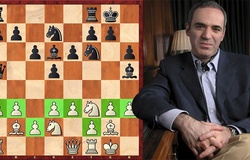 Hưởng ứng FIDE chống COVID-19: Các huyền thoại cờ như Kasparov tham dự Nations Cup