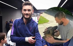 Chú chó hơn 400 triệu của Hugo Lloris là giống gì, vì sao đắt như vậy?