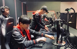 Dashing Buffalo tiếp tục chia tay thành viên tiếp theo: Pun