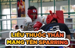 Ý nghĩa và lợi ích của việc sparring trong võ thuật đối kháng