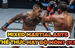 Mixed Martial Arts - Thể thức thi đấu hay bộ môn võ thuật (P.1)