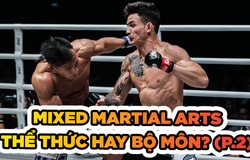 Mixed Martial Arts - Thể thức thi đấu hay bộ môn võ thuật (P.2)