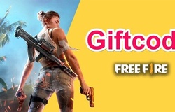 Code Free Fire: Cách nhập mã code FF 2020 mới nhất