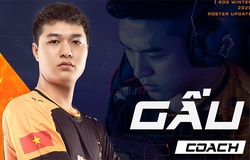 FL Gấu trở thành HLV trưởng của Team Flash Liên Quân