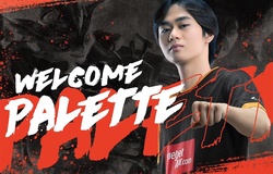 Team Flash chiêu mộ Palette, hoàn thiện đội hình All Star của VCS