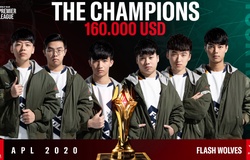 Kết quả chung kết APL 2020 liên quân hôm nay: FW vô địch đầy kịch tính