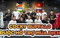 Phòng tập "vô địch" Cocky Buffalo được hỗ trợ mùa dịch