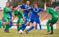Nhận định Oakleigh Cannons vs Melbourne Knights, 17h30 ngày 03/07