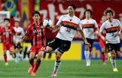 Nhận định FC Seoul vs Pohang Steelers, 17h30 ngày 29/07