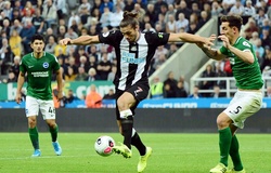 Nhận định Newcastle vs Brighton, 20h00 ngày 20/09, Ngoại hạng Anh