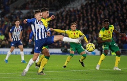 Nhận định Norwich vs Brighton, 18h30 ngày 04/07, Ngoại hạng Anh