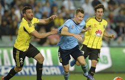 Nhận định Sydney FC vs Wellington Phoenix, 16h30 ngày 17/07, VĐQG Úc