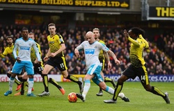 Nhận định Watford vs Newcastle, 18h30 ngày 11/07, Ngoại hạng Anh