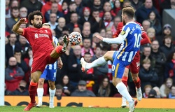 Chuyên gia dự đoán Liverpool vs Brighton: Chuỗi chiến thắng bị ngăn chặn
