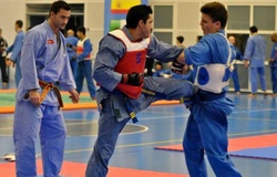 Vovinam - tại sao không phải "MMA" cho người Việt?