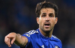 Fabregas thẳng thừng chỉ trích các đồng đội ở Chelsea