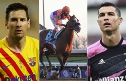 Con ngựa kiếm được nhiều gấp 20 lần Messi và Ronaldo năm 2020