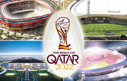 Nhóm hạt giống World Cup 2022 khi bốc thăm gồm những đội nào?