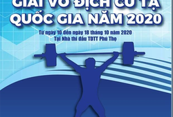 Lịch thi đấu giải cử tại toàn quốc năm 2020