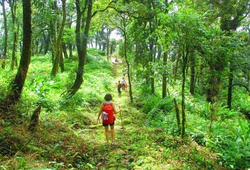 Lai Châu có thể tổ chức giải marathon trên con đường đá cổ Pavi