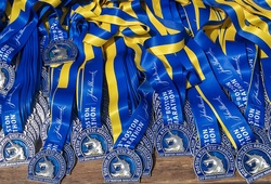 Boston Marathon mở 70.000 suất chạy ảo, không đạt chuẩn vẫn có “mề đay”