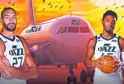 Máy bay của Utah Jazz hạ cánh khẩn cấp vì... chim
