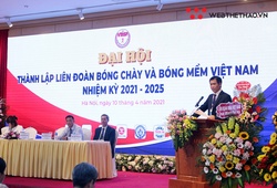 Liên đoàn Bóng chày và Bóng mềm Việt Nam chính thức ra mắt