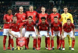 Đội hình tuyển Áo 2021: Danh sách, số áo cầu thủ dự EURO 2020