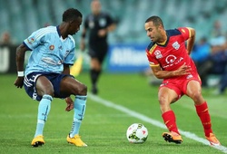 Kết quả Adelaide United vs Sydney, video bóng đá Úc hôm nay 29/5