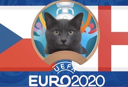 Mèo tiên tri dự đoán bóng đá EURO hôm nay 22/6: CH Séc vs Anh